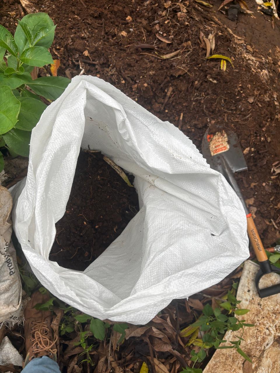 Materia orgánica obtenida durante el proyecto